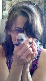 Baby Raccoon EJ